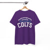 White Smoke Indianapolis Colts Vintage Football Tee