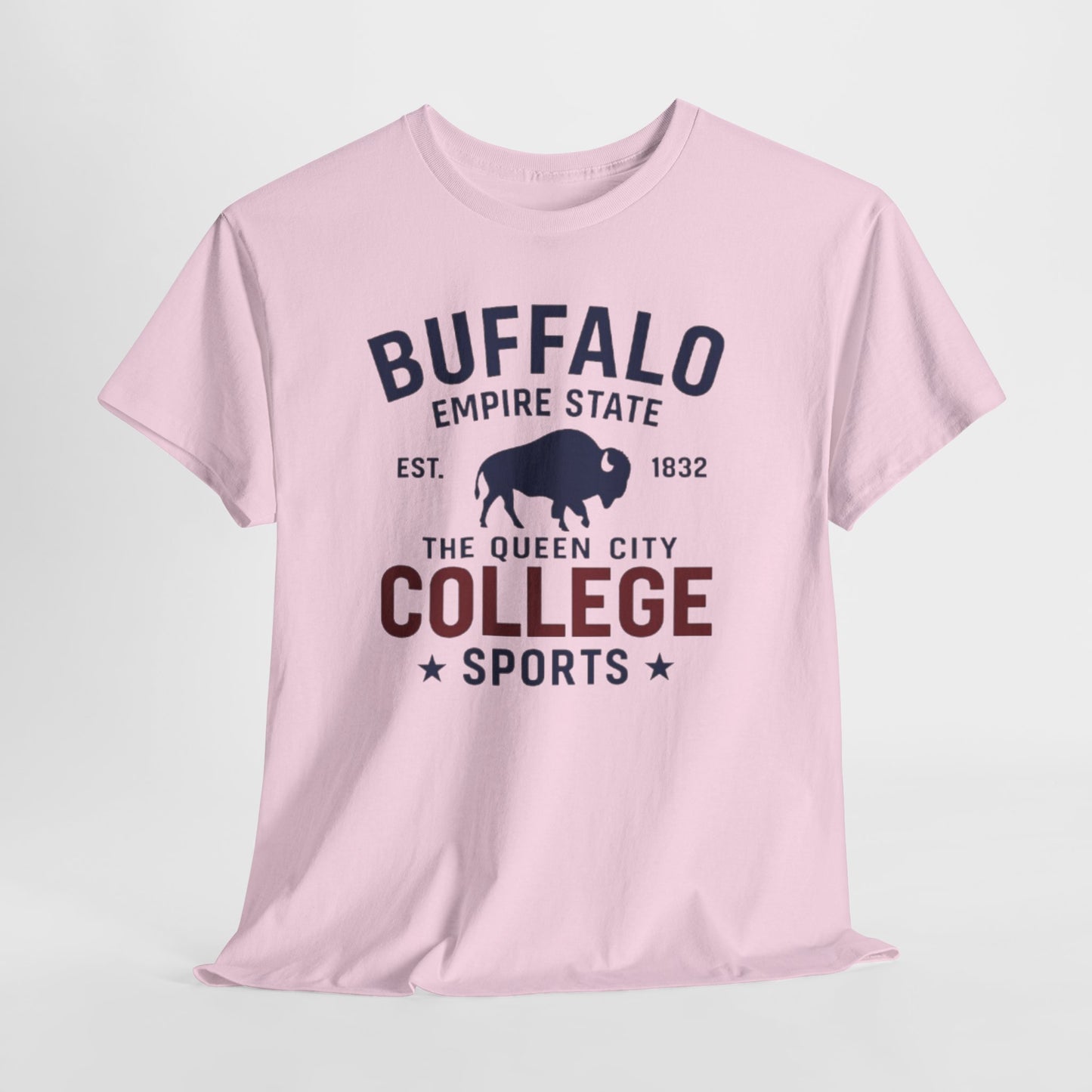 Buffalo College Sports T-Shirt — The Queen City Vintage Tee