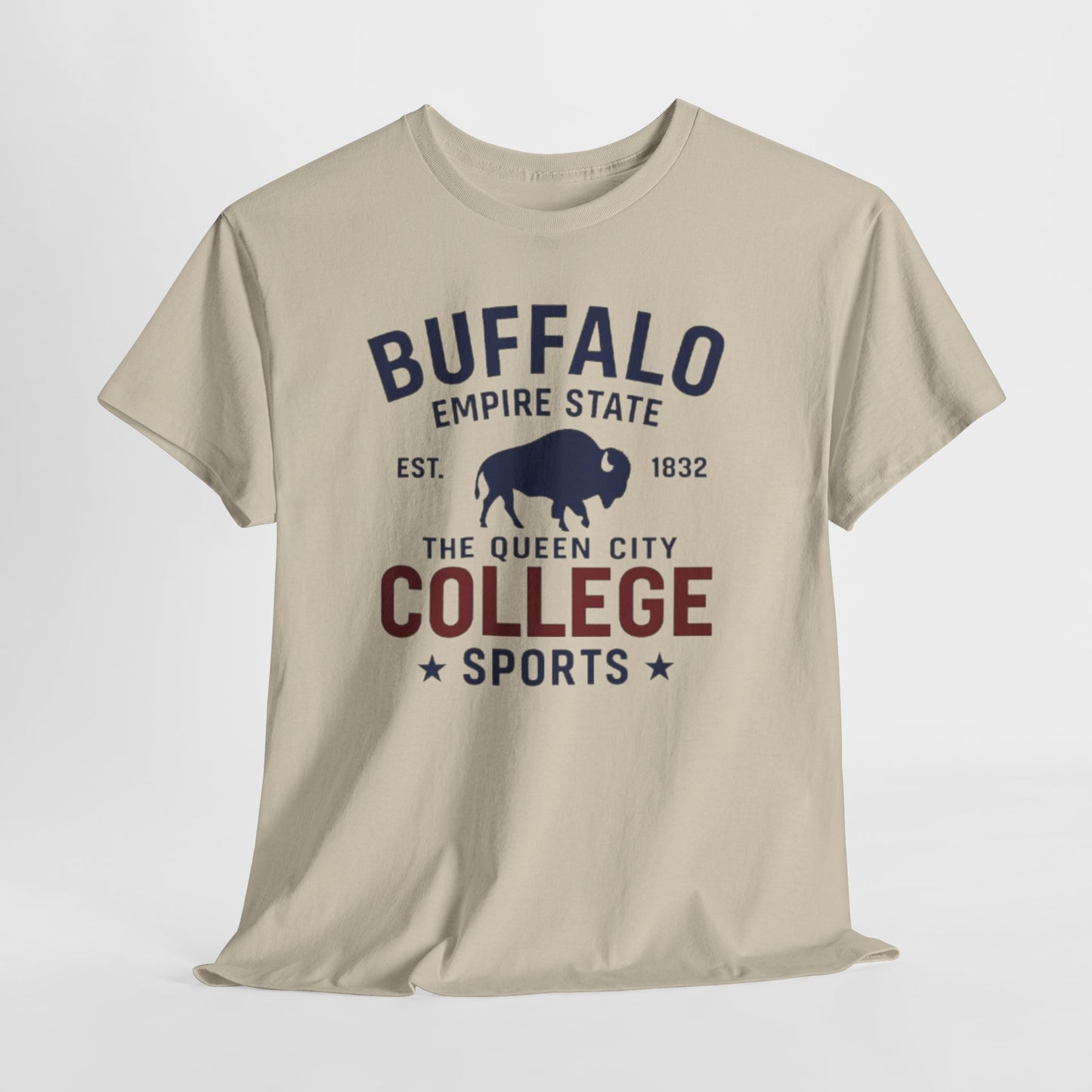 Buffalo College Sports T-Shirt — The Queen City Vintage Tee