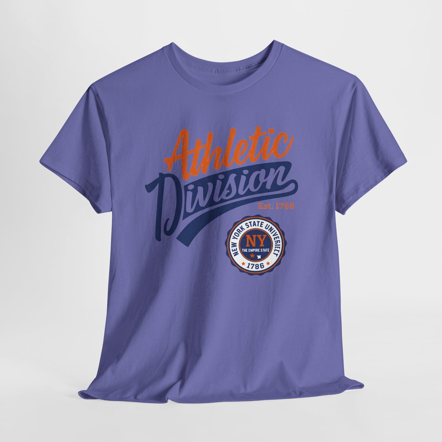 Athletic Division NY Vintage Graphic Tee collegiate style t-shirt