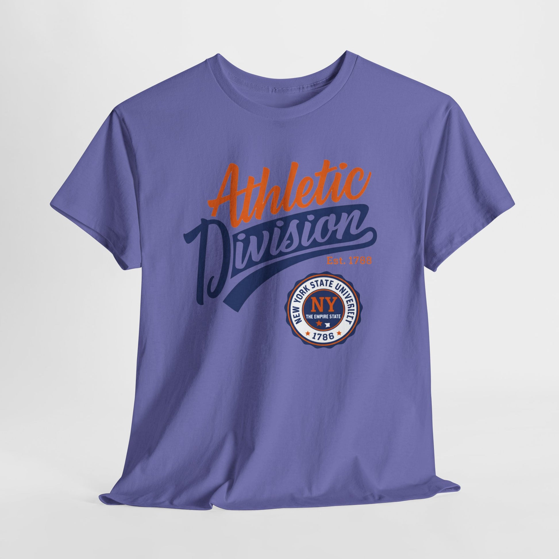 Slate Gray Athletic Division NY Vintage Graphic Tee collegiate style t-shirt