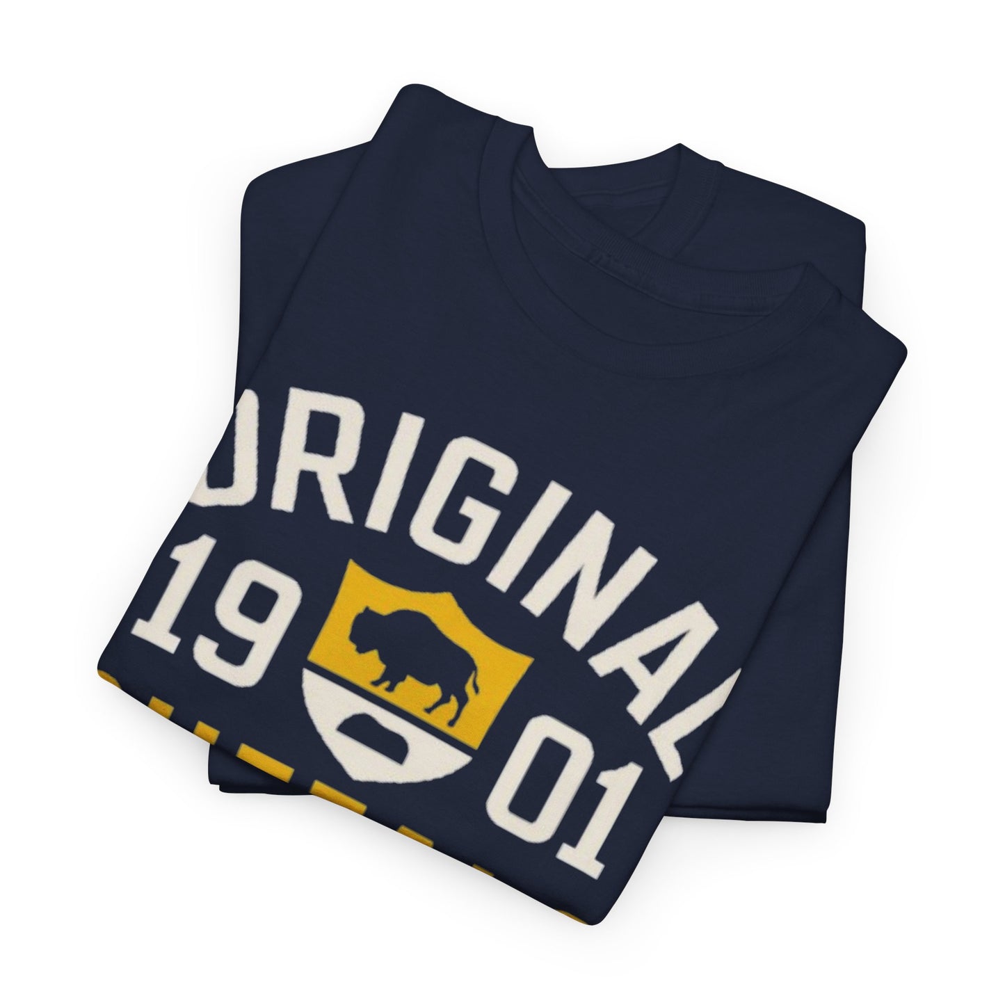 Original 1901 Buffalo T-Shirt — The City of Light, New York Tee