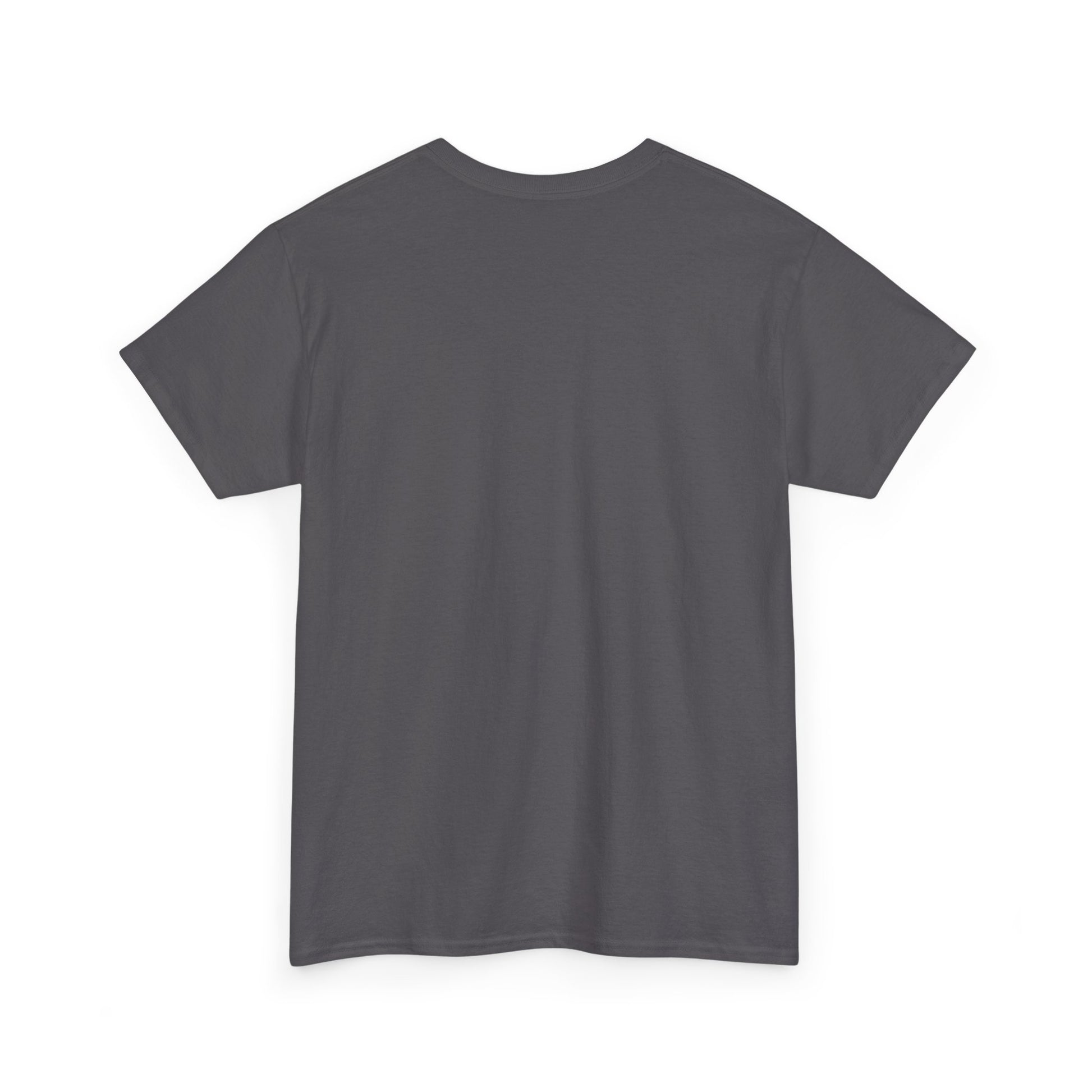 Dim Gray Indianapolis Indiana T-Shirt — Retro Collegiate City Tee