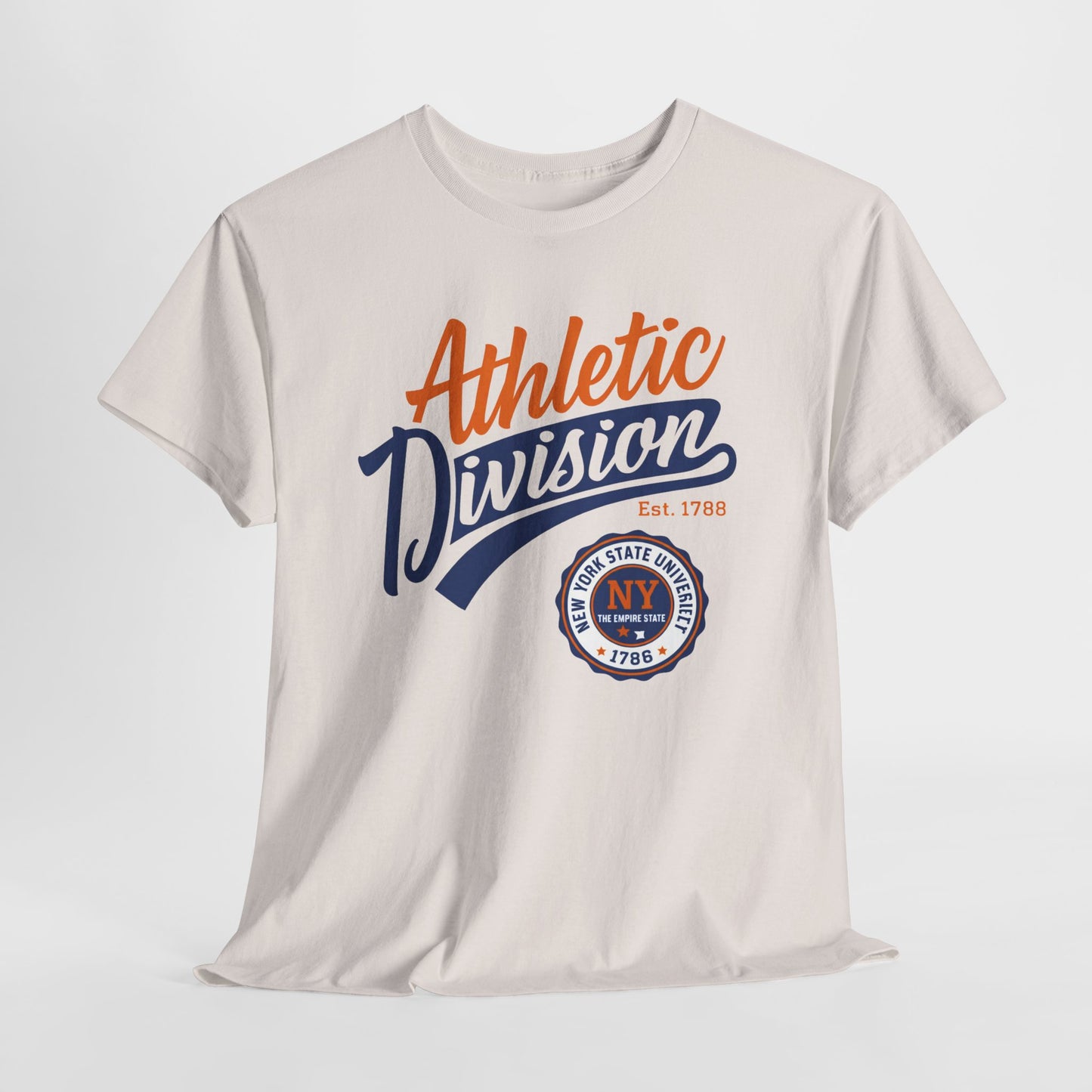 Athletic Division NY Vintage Graphic Tee collegiate style t-shirt