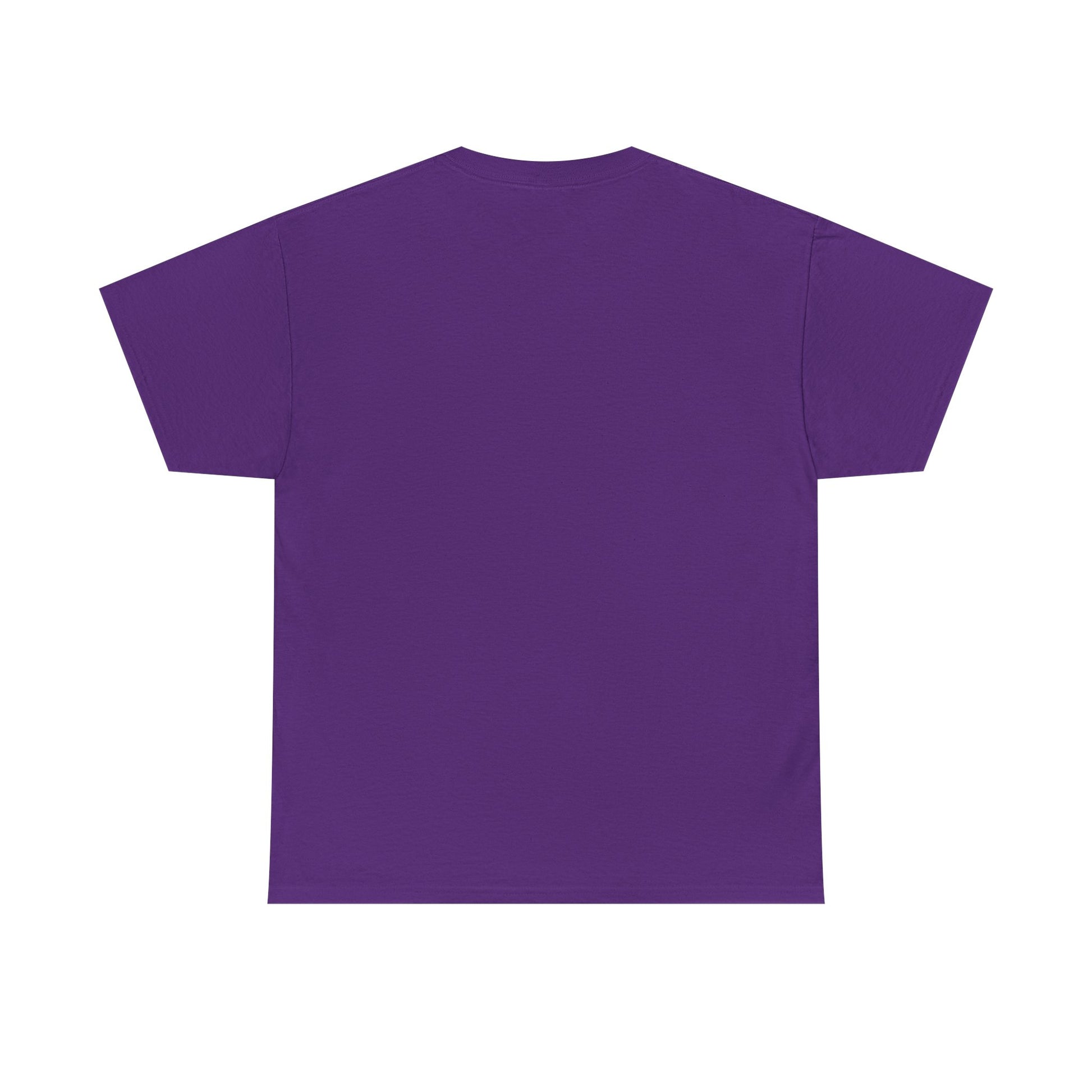 Pittsburgh PA Retro Collegiate T-Shirt – ESTD. 1758 City Tee streetwear fashion product image 5