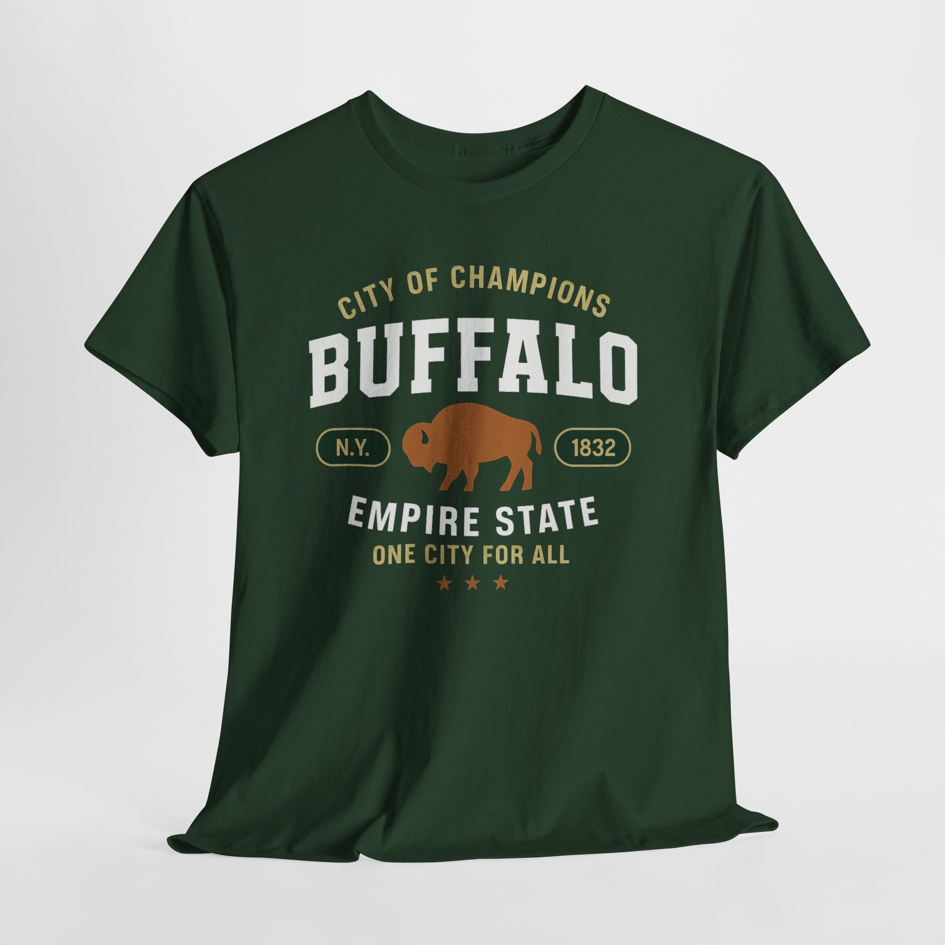 Dark Slate Gray Buffalo City of Champions Retro T-Shirt