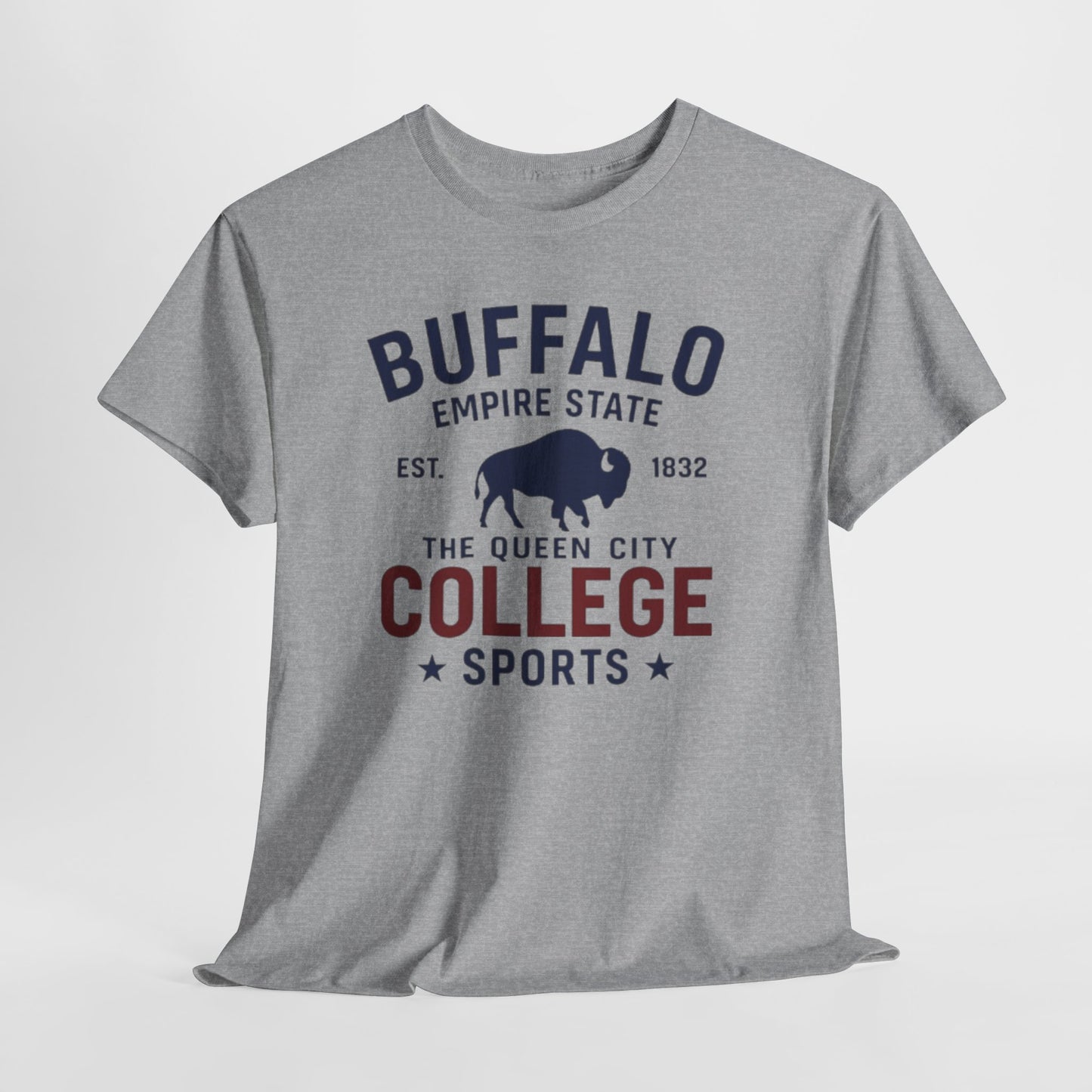 Buffalo College Sports T-Shirt — The Queen City Vintage Tee