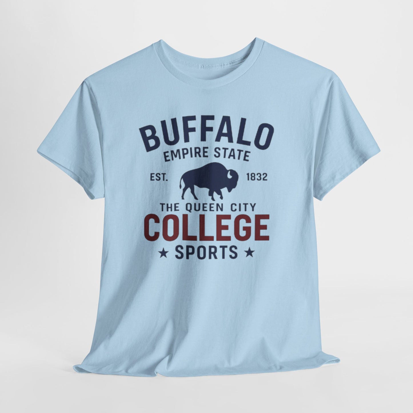 Buffalo College Sports T-Shirt — The Queen City Vintage Tee