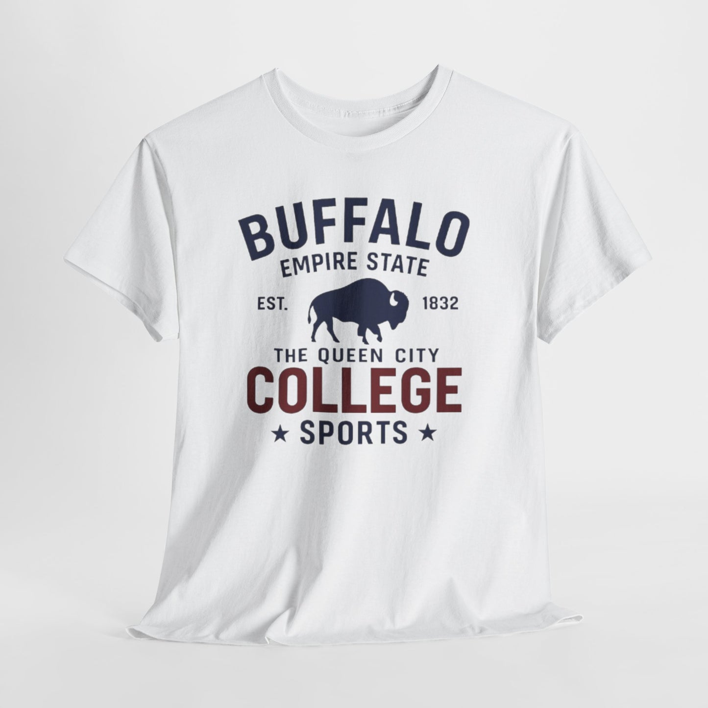 Buffalo College Sports T-Shirt — The Queen City Vintage Tee