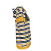 White Smoke Michigan Varsity Striped Women's Pullover Hoodie