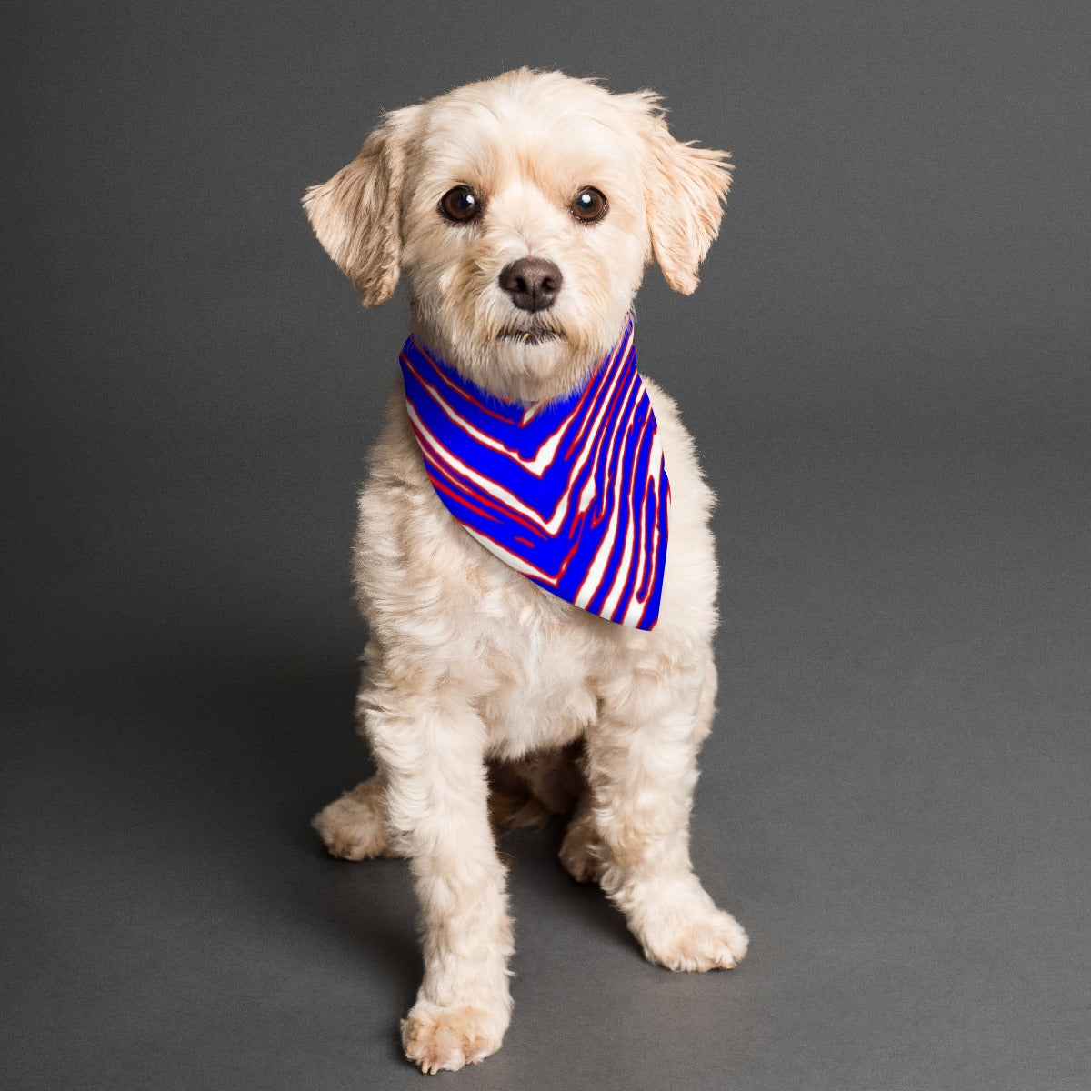 Buffalo football Pet's Scarf – Red Blue White Zebra Game Day Style