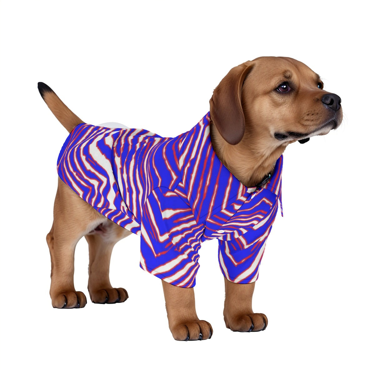 Dog wearing a blue and pink striped outfit on a white background