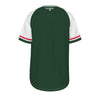 Algeria Soccer T-Shirt Green White – Algeria Football Shirt Les Verts Fan Tee