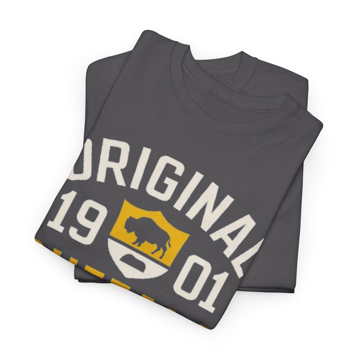 Original 1901 Buffalo T-Shirt — The City of Light, New York Tee