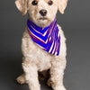 Buffalo football Pet's Scarf – Red Blue White Zebra Game Day Style – fan gear, sportswear style, image 1.0
