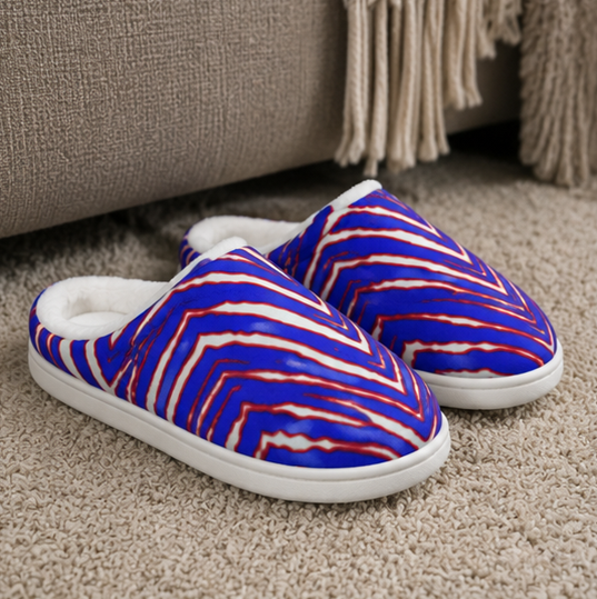 Blue and red striped slippers on a carpeted floor.