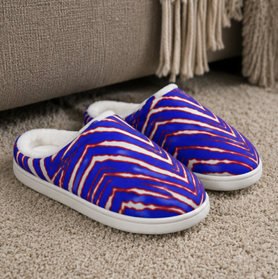 Blue and red striped slippers on a carpeted floor.
